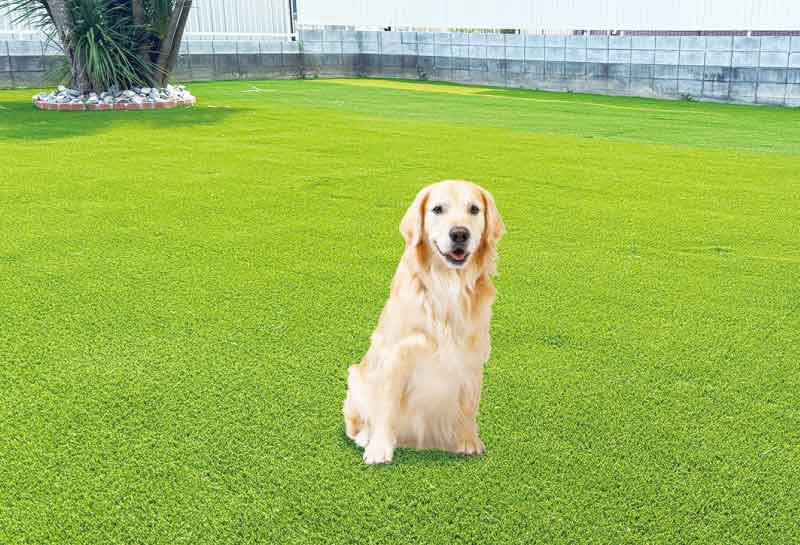 店舗/企業のイメージ画像_1